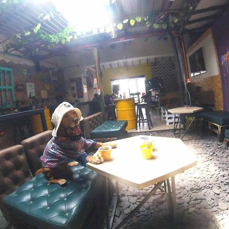 Panela Medellin Hostel Εξωτερικό φωτογραφία