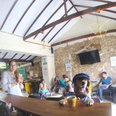 Panela Medellin Hostel Εξωτερικό φωτογραφία