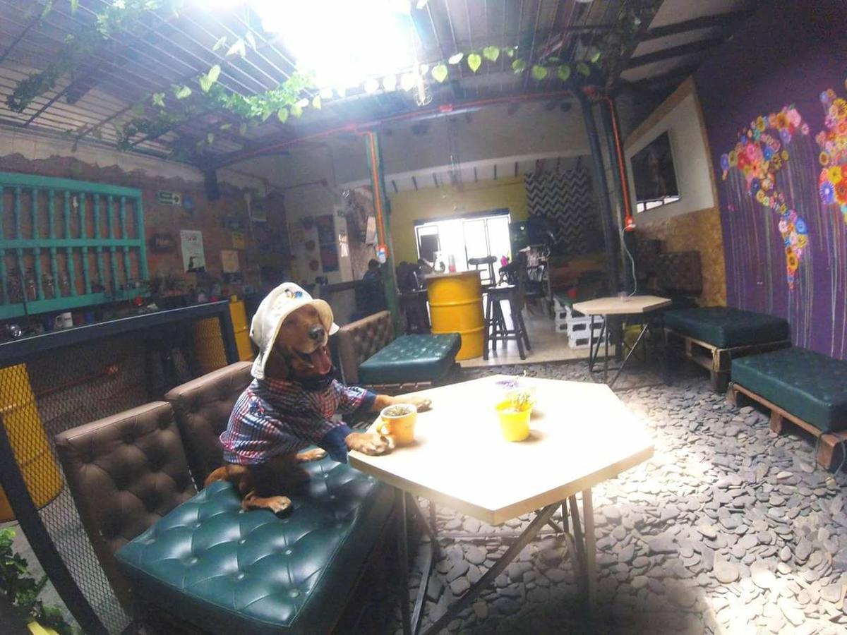 Panela Medellin Hostel Εξωτερικό φωτογραφία