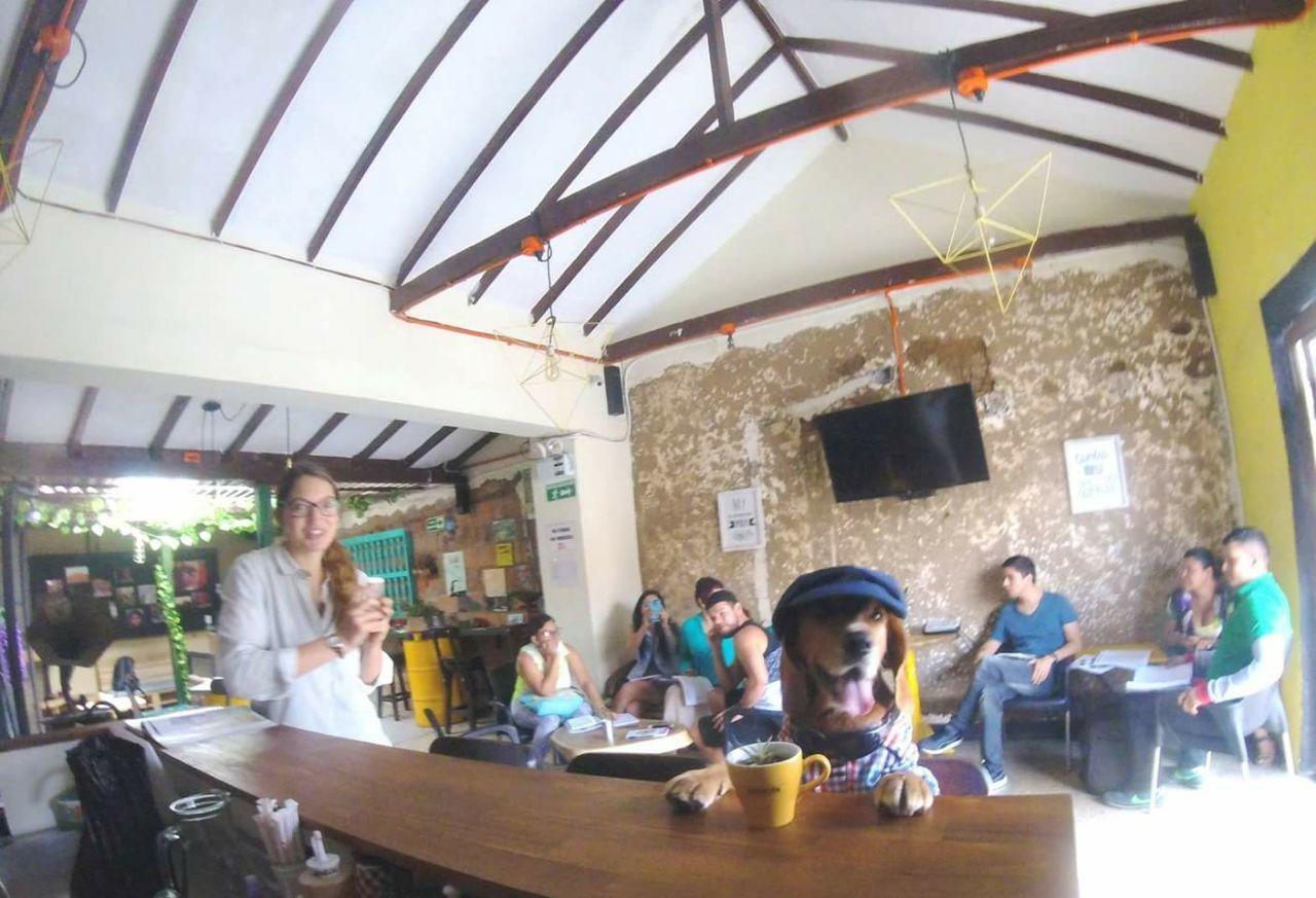Panela Medellin Hostel Εξωτερικό φωτογραφία